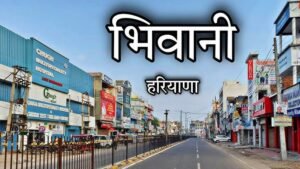 Packers and Movers in Bhiwani