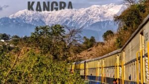 Packers and Movers in Kangra Valley, Himachal Pradesh