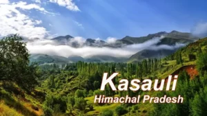 Packers and Movers in Kasauli