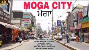 Packers and Movers in Moga