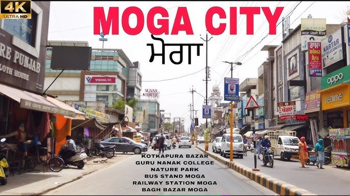 Packers and Movers in Moga