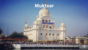 Packers And Movers In Muktsar