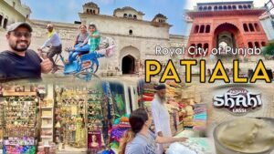 Best Packers and Movers in Patiala