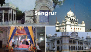 Packers And Movers In Sangrur