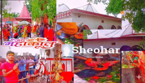 Packers and Movers in Sheohar