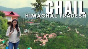 Packers and Movers in Chail