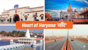 Packers and Movers in Jind
