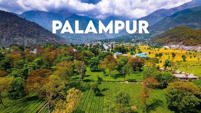 Best Packers & Movers in Palampur