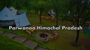 Packers and Movers in Parwanoo